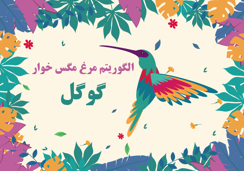 الگوریتم مرغ مگس خوار چیست؟